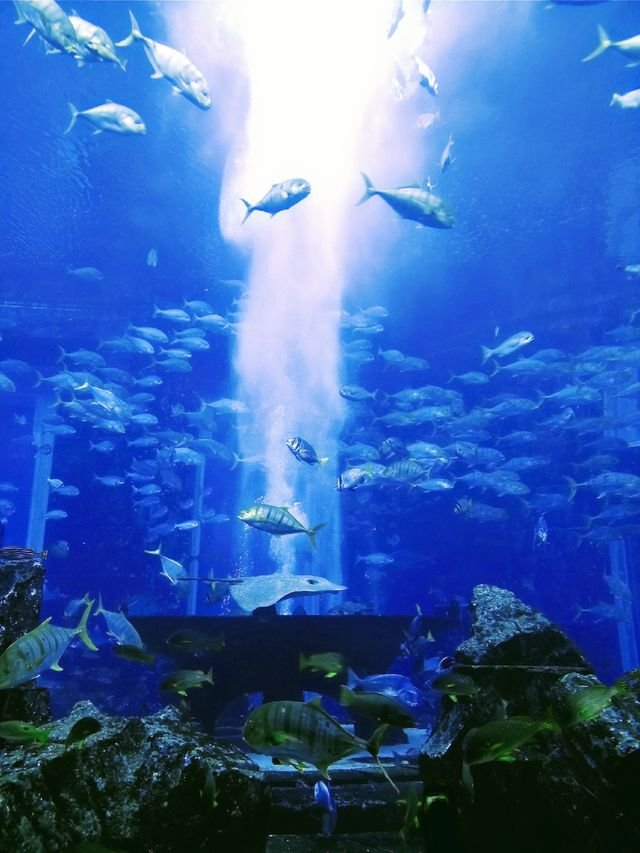 f7b87dee68a9d24a31d7a97be1d67186