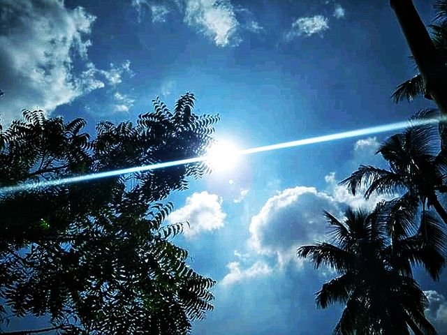 f8fe87c5f1cd908d2cb29466f28652c4