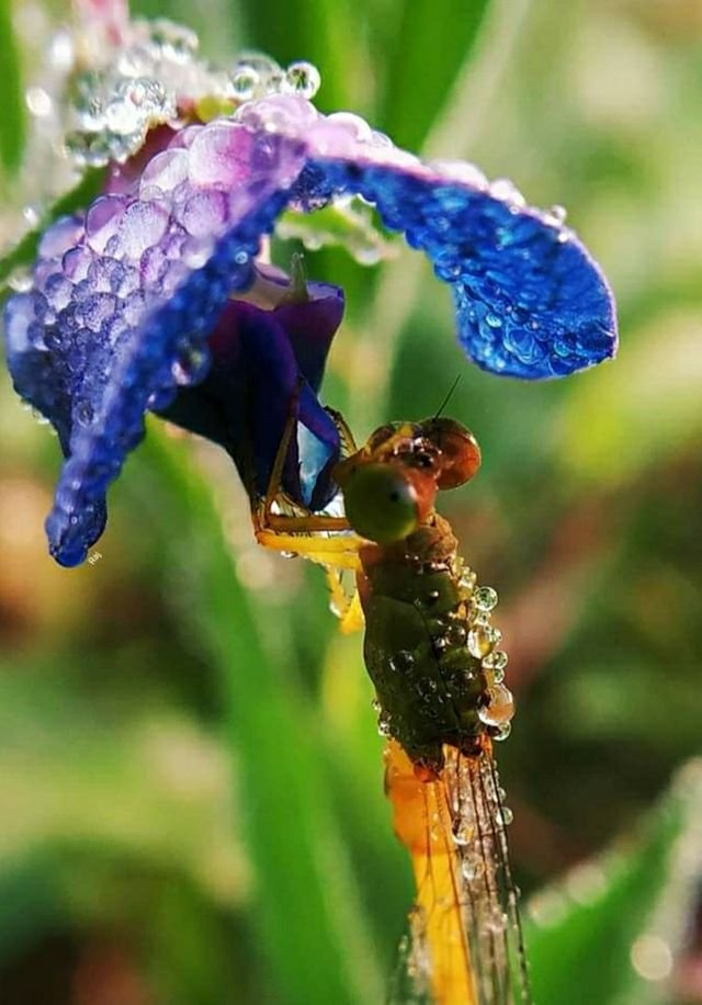 fb7fb0debf8a96babadcb89f6d49eecb