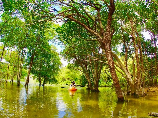 fb820933b6afbf32f002c59303450fda