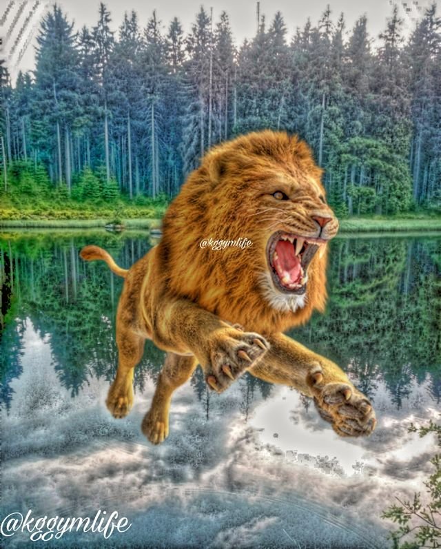 fc32be9d6820a526ced9c6780c3be60b