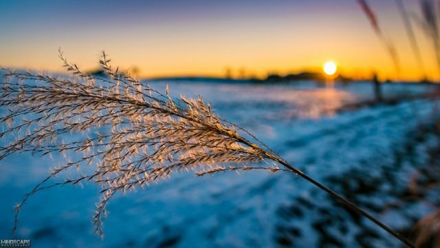 fe09b8cc64a5977ce2f4e33936cca47a