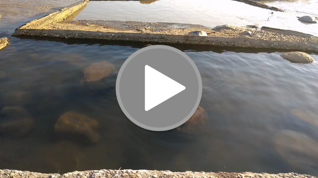 videos/2542fcc871ca62403fa7d3a80f11e57c-00001.png