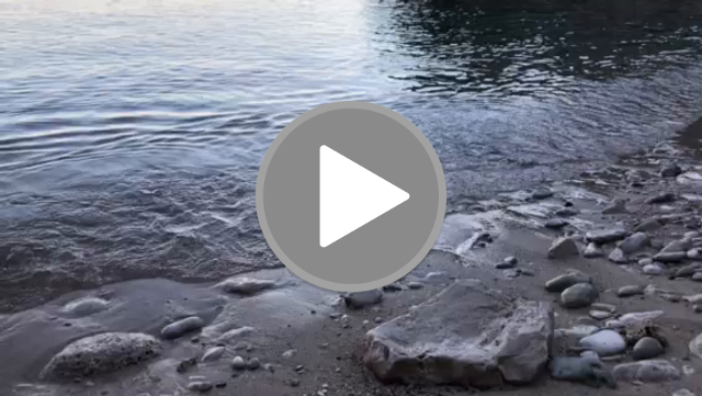 videos/97f920a30125d4da7a9396782d9ee873-00001.png