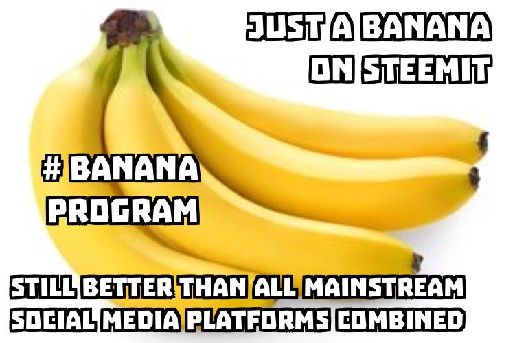 https://s3.us-east-2.amazonaws.com/partiko.io/img/amvanaken-for-my-first-partiko-post-i-enter-into-the-banana-program-1534105381331.png