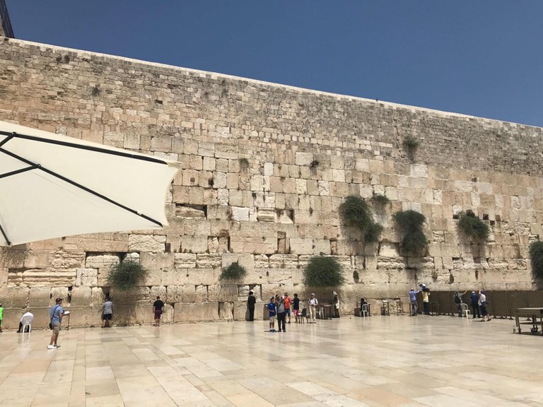 https://s3.us-east-2.amazonaws.com/partiko.io/img/badnimits-the-western-wall-1532458857229.png