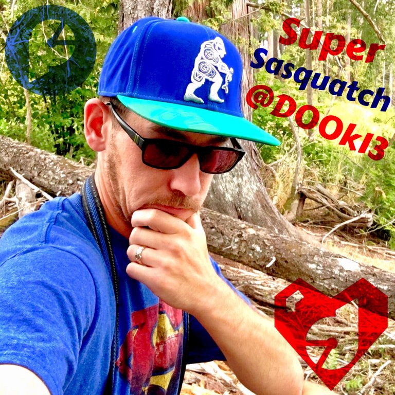 https://s3.us-east-2.amazonaws.com/partiko.io/img/d00k13-super-sasquatch-d00k13--new-hat-for-my-birthday-1534114351339.png