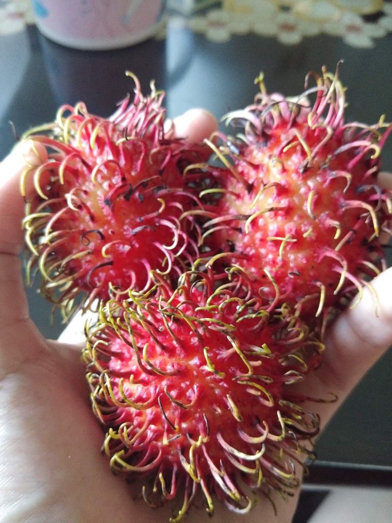 https://s3.us-east-2.amazonaws.com/partiko.io/img/debbie89-red-hairy-fruit-gwvfzrsu-1536999567628.png