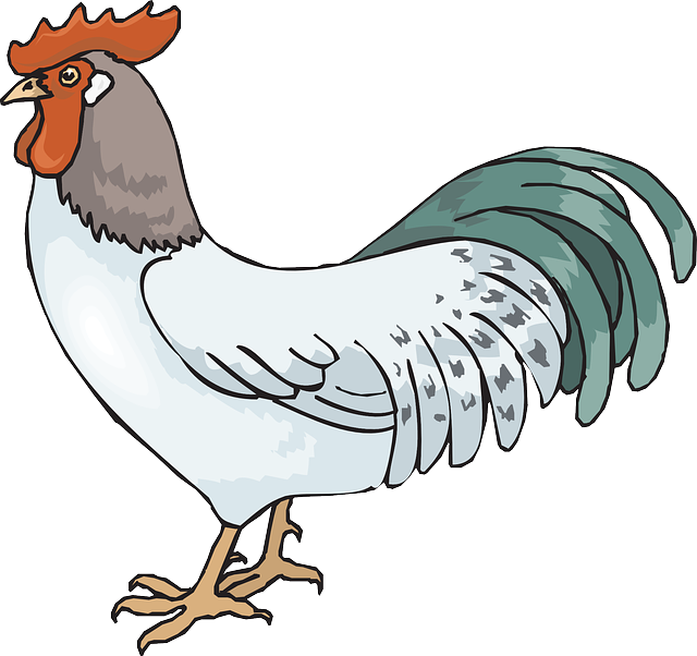 https://s3.us-east-2.amazonaws.com/partiko.io/img/farelsteem-arrogant-chicken-story-1533532607871.png