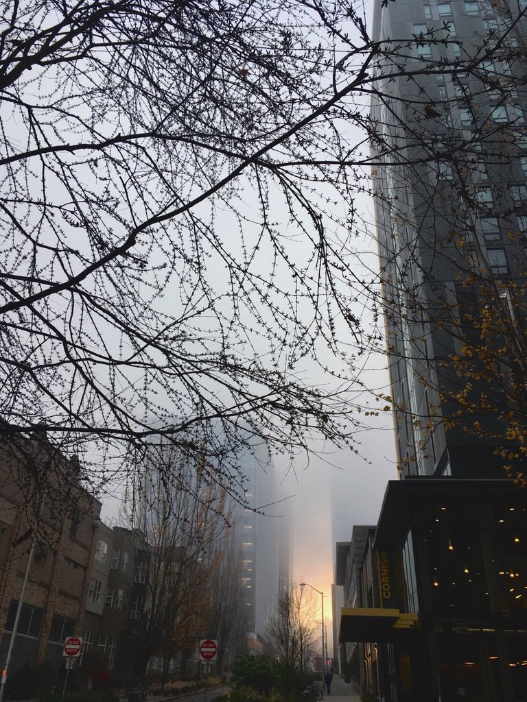 https://s3.us-east-2.amazonaws.com/partiko.io/img/lifelurking-foggy-in-the-city-px2fciwg-1543185569789.png