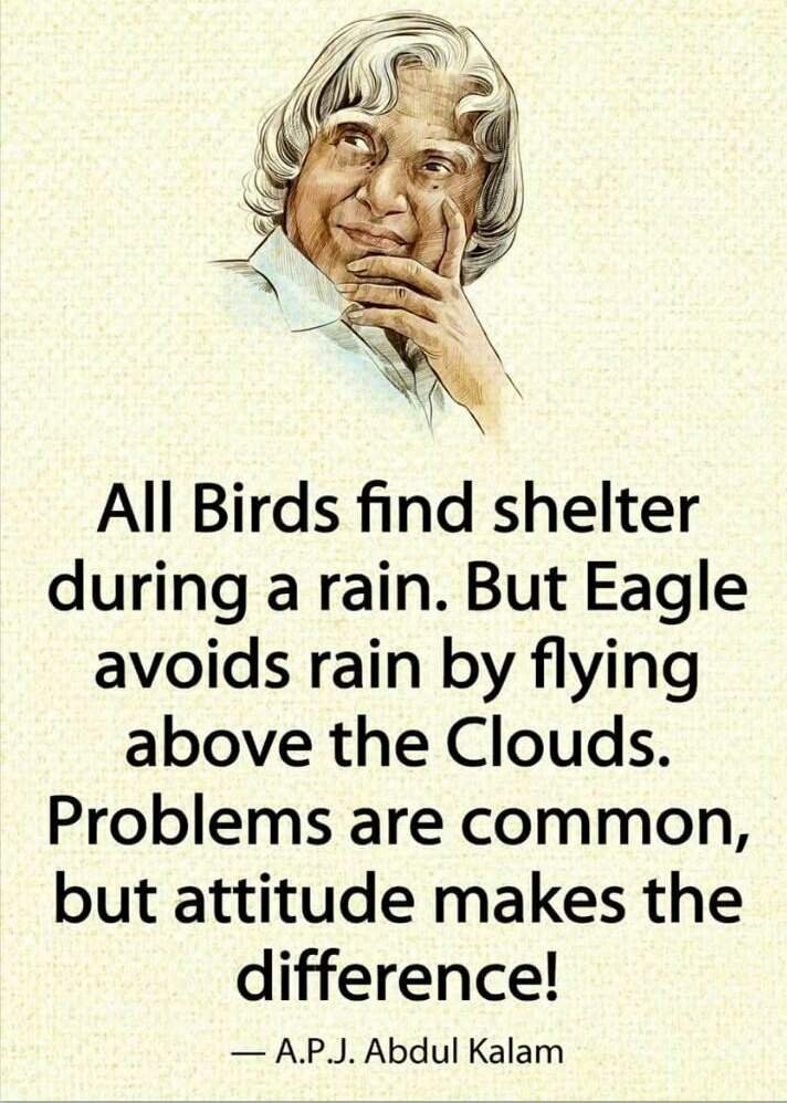 https://s3.us-east-2.amazonaws.com/partiko.io/img/syedmazharali-all-birds-find-shelter-during-a-rain-1530953225542.png