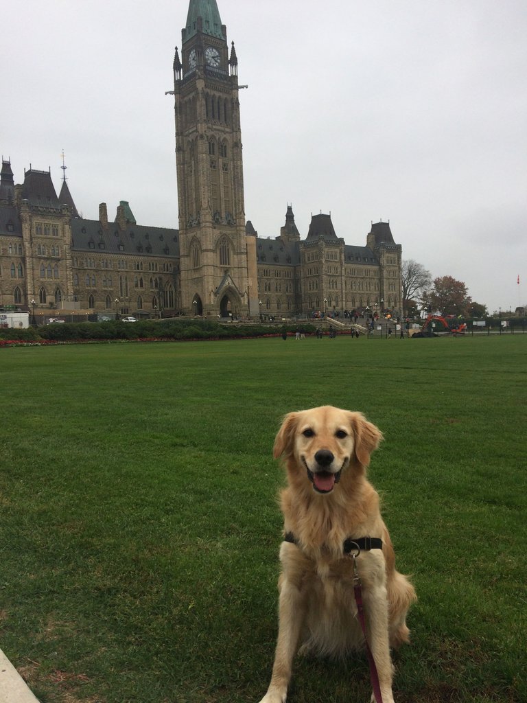 https://s3.us-east-2.amazonaws.com/partiko.io/img/this-is-us-charlie-went-to-ottawa-arbywqbw-1539015784434.png