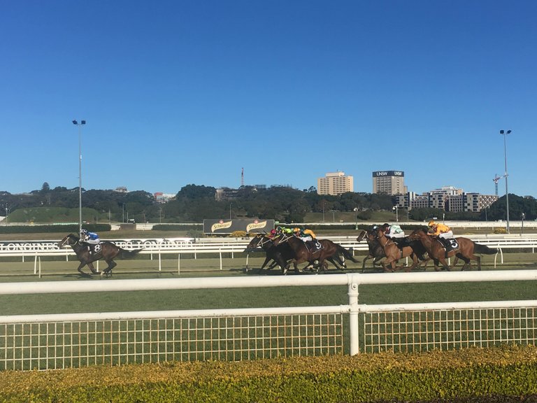 https://s3.us-east-2.amazonaws.com/partiko.io/img/trending42-sydney-horse-races-1532150396848.png