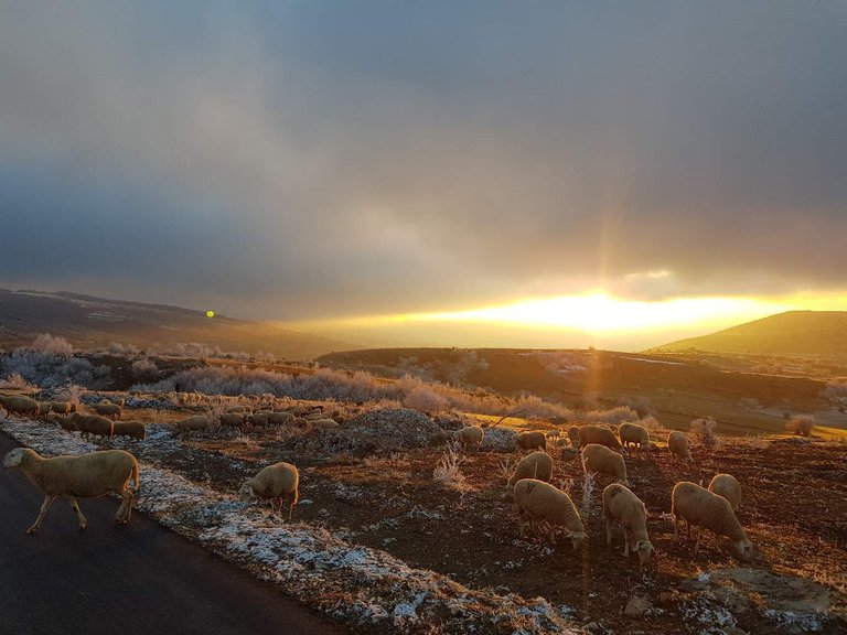 https://s3.us-east-2.amazonaws.com/partiko.io/img/vv1984i-ein-schner-sonnenuntergang-in-albanien-1533292712348.png