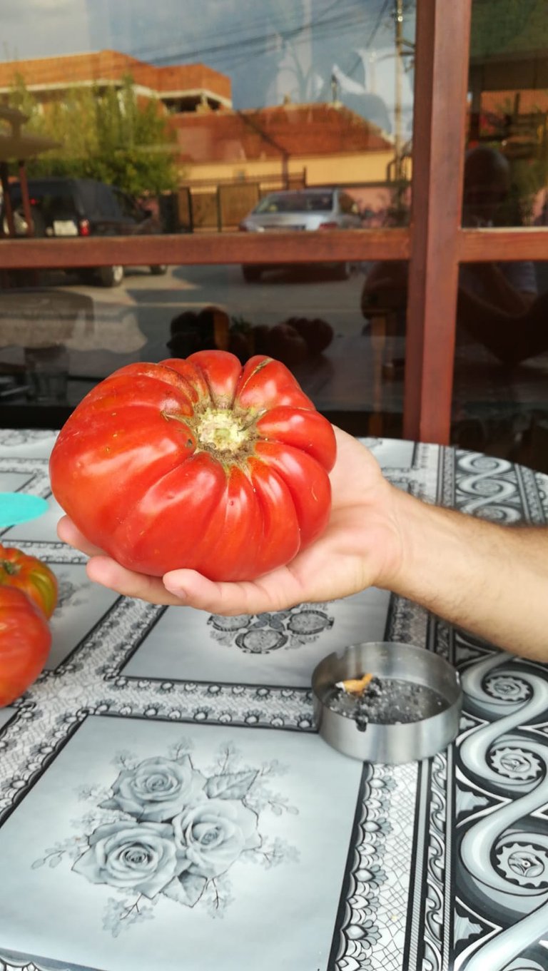 https://s3.us-east-2.amazonaws.com/partiko.io/img/white-star-das-ist-eine-riesen-tomate-1533107154048.png