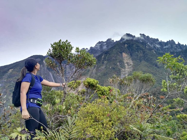 https://s3.us-east-2.amazonaws.com/partiko.io/img/ychaa-gorgeous-view-of-mount-kinabalu-e3hymhtd-1537597731711.png