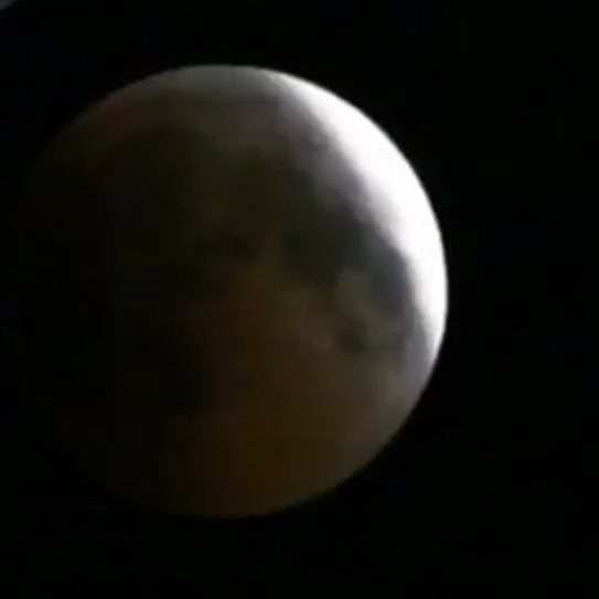 https://s3.us-east-2.amazonaws.com/partiko.io/img/zainuddin.armia-lunar-eclipse-in-aceh-indonesia-1532720021524.png