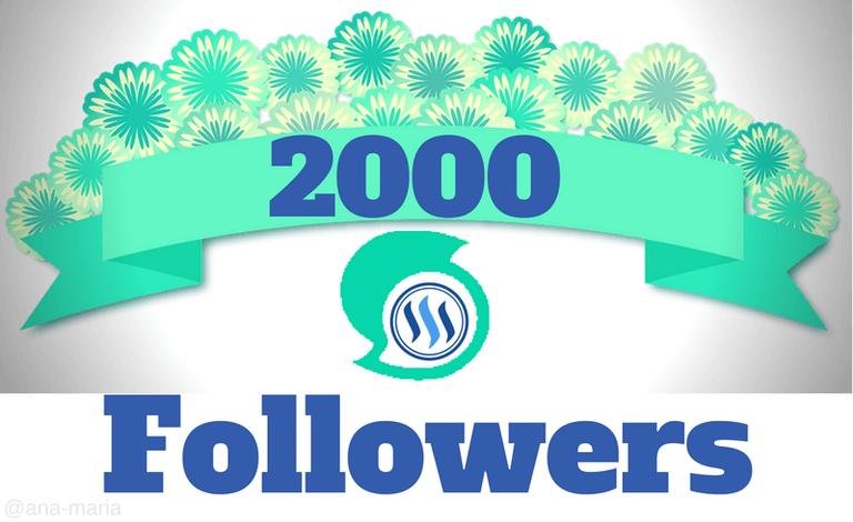 2000 Followers