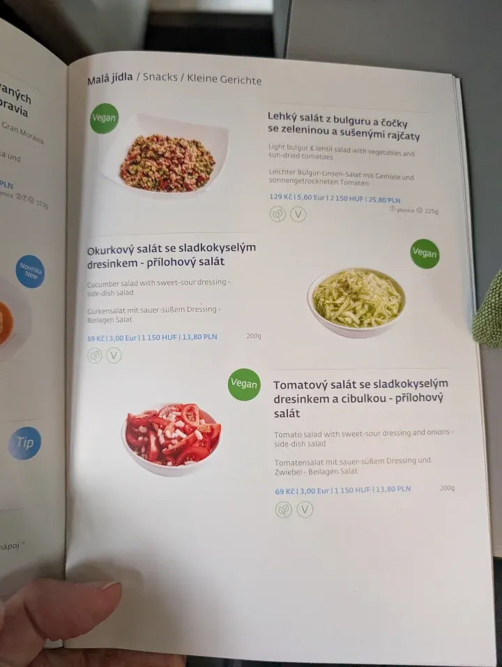 Restaurant car menu with salads. Descriptions in various languages.
