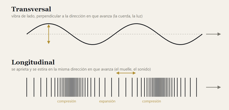 Dibujo en dos franjas. Arriba, una onda transversal: una línea que sube y baja mientras avanza hacia la derecha, con una flecha vertical que marca el movimiento de lado. Abajo, una onda longitudinal: rayas verticales que se aprietan y se separan a lo largo de la misma dirección en que avanza, con las zonas marcadas como compresión y expansión.