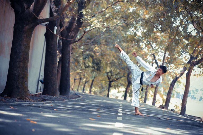 Yoko geri in karate | HD photo by Thao Le Hoang (@h4x0r3) on Unsplash
