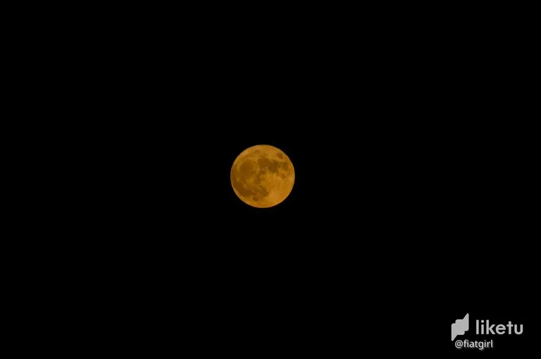 cl5llzkiy009v0ppeejgla2v8_DSC_9500.jpg