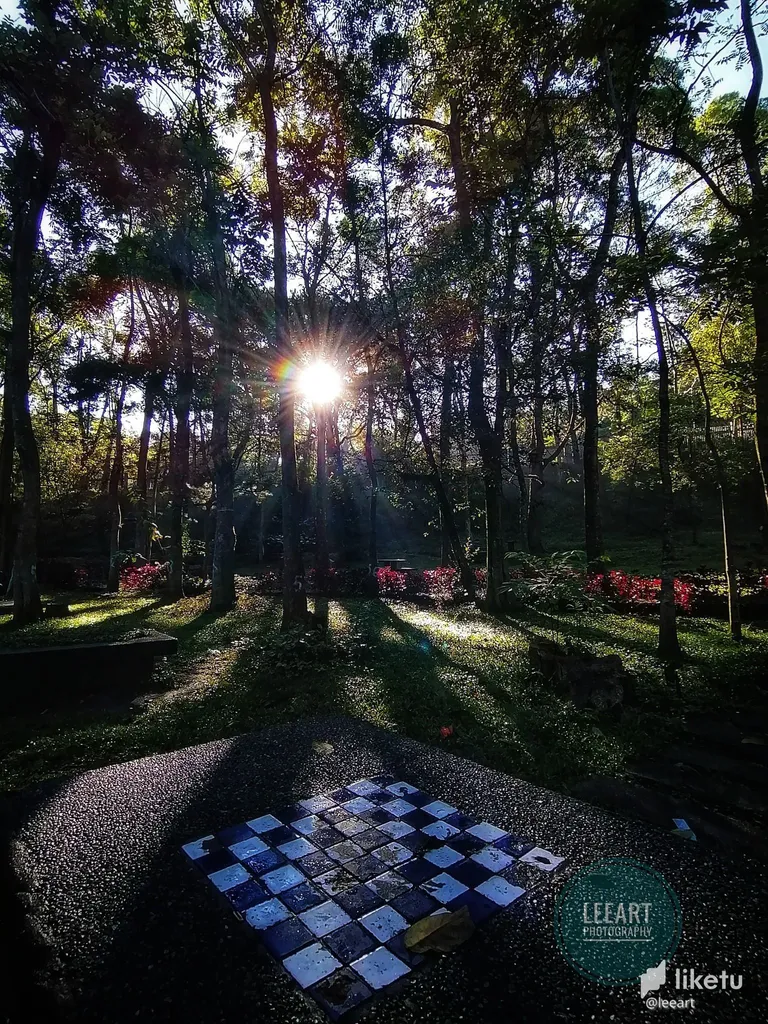 Dama and Chess Tables at the Park