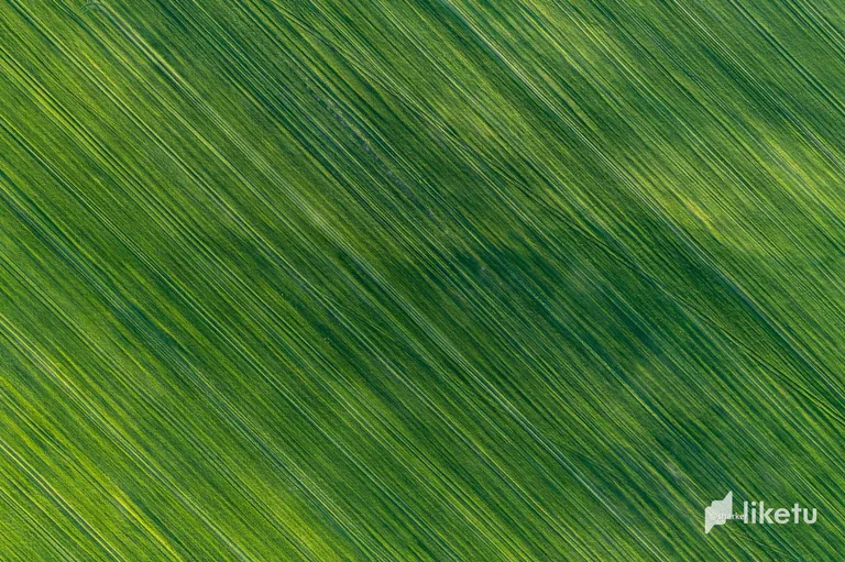 cl4wu5pog01b22bp78aybafbs_DJI_0106.jpg