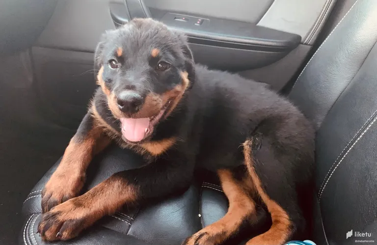 My Latest Car Ride...