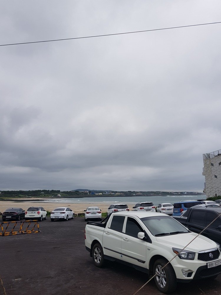 20180611_125247.jpg