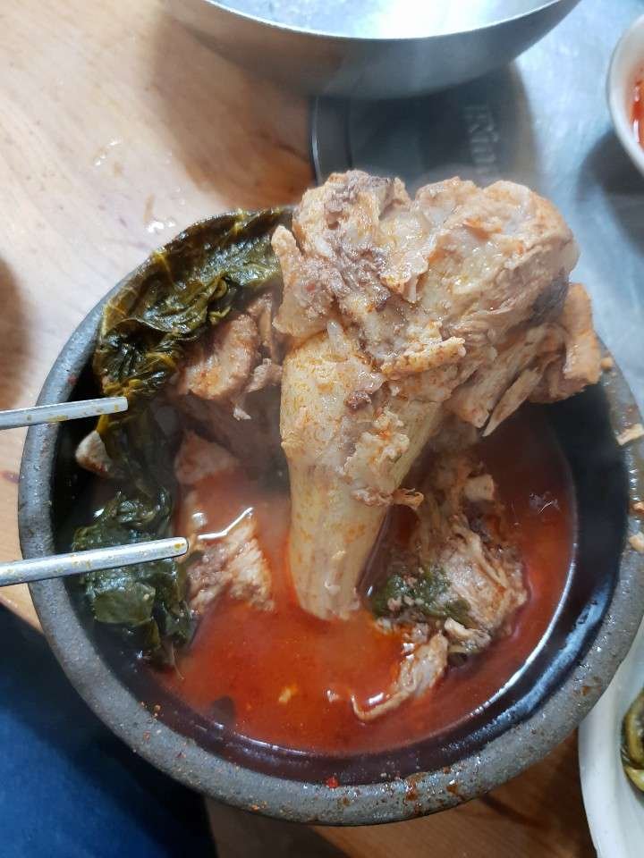 KakaoTalk_20190206_001931852.jpg