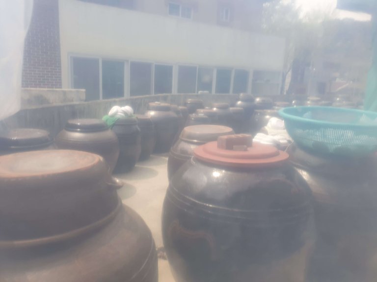 20190416_123235.jpg