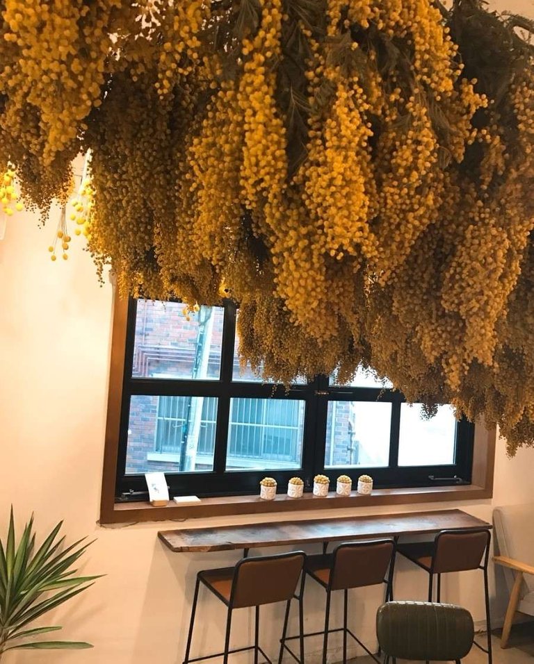 P20170324_175813021_A57AD671-E41C-45F4-A9AF-7673BEF5FE5D.jfif