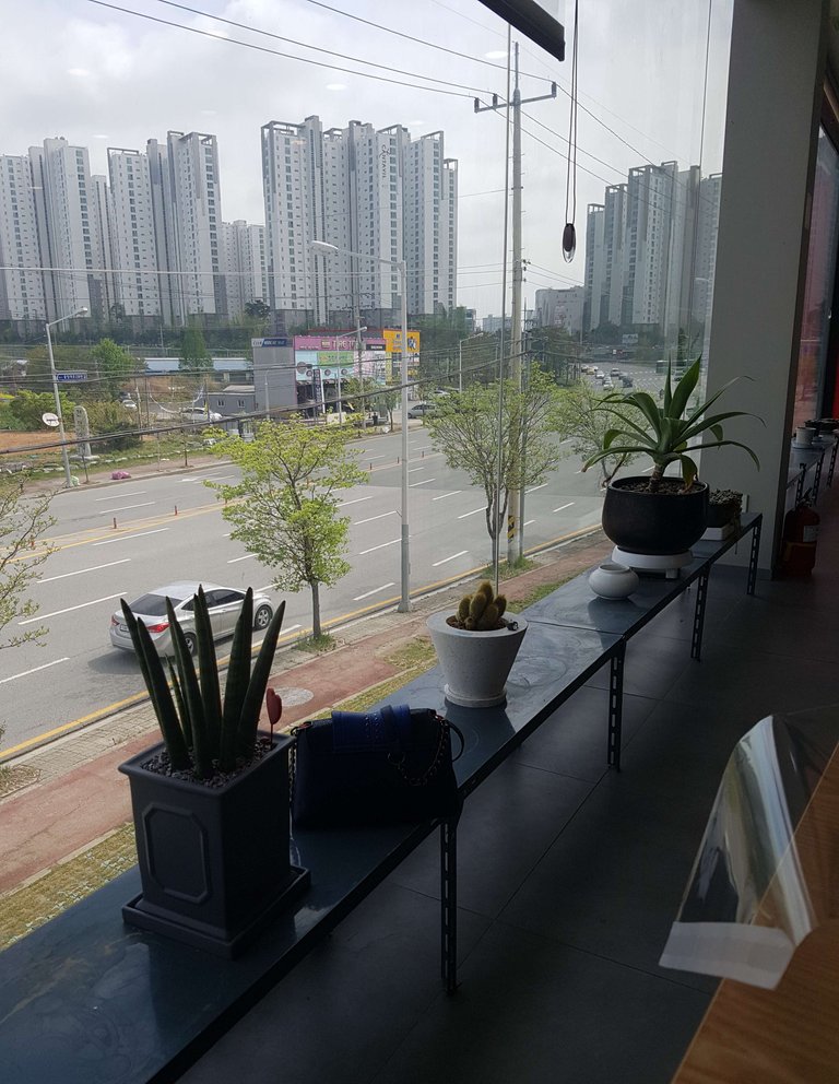 20190424_212250.jpg
