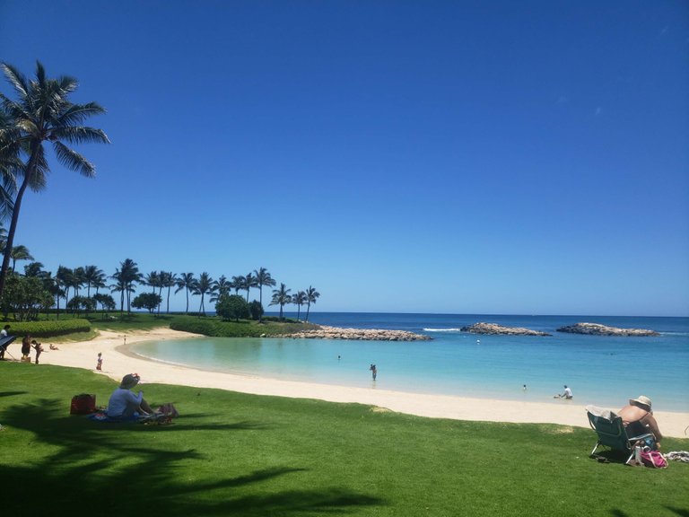20190516_121737.jpg