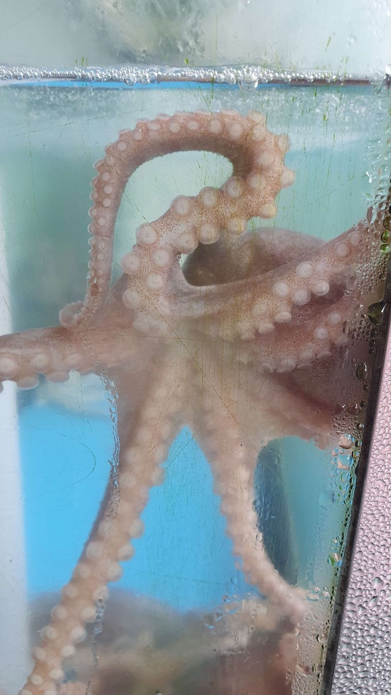 20190711_110516.jpg
