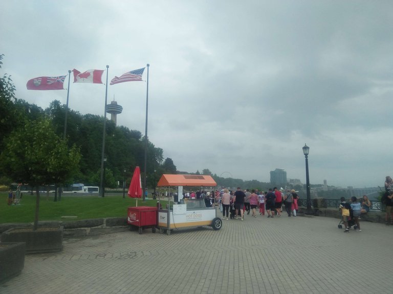 IMG20190807234134.jpg