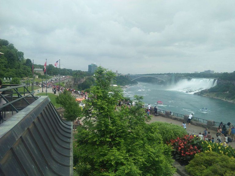 IMG20190807235020.jpg