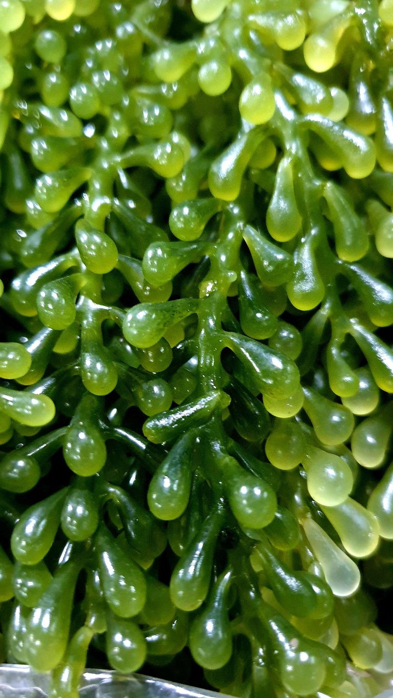 20191029_191333.jpg