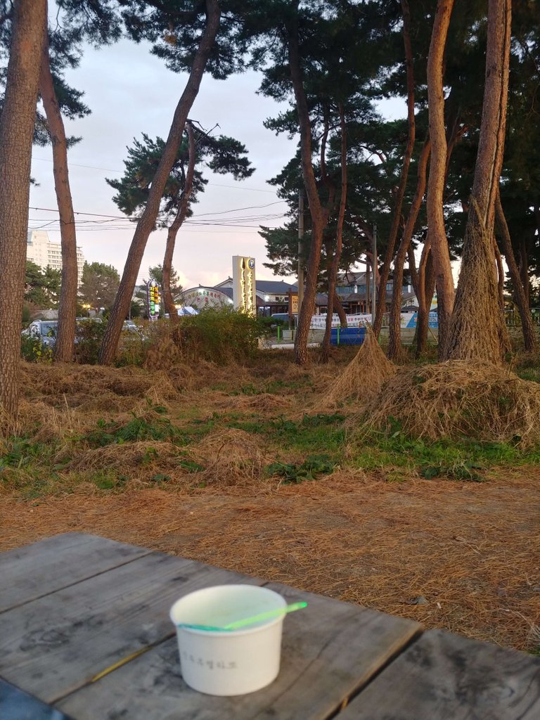 20191130_165202_HDR.jpg