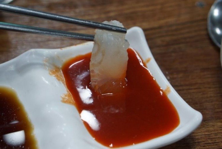 회센타5.JPG