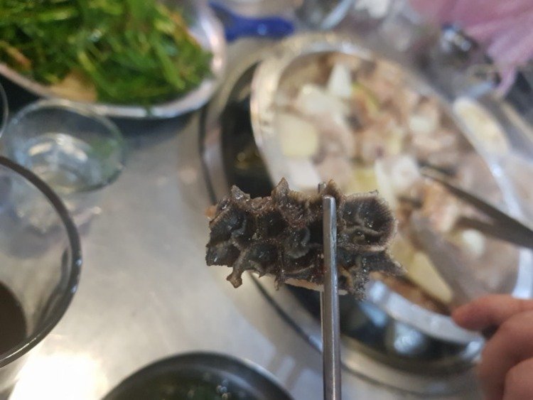 KakaoTalk_20180712_224254731.jpg