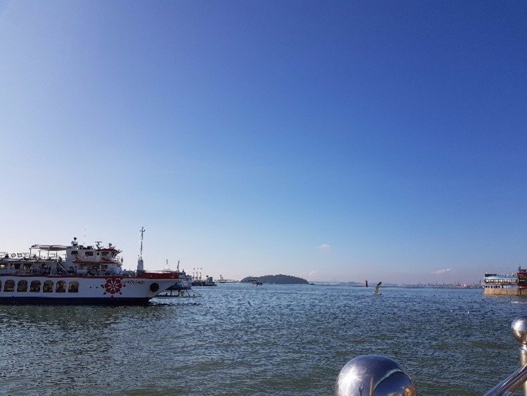 20180714_170403.jpg