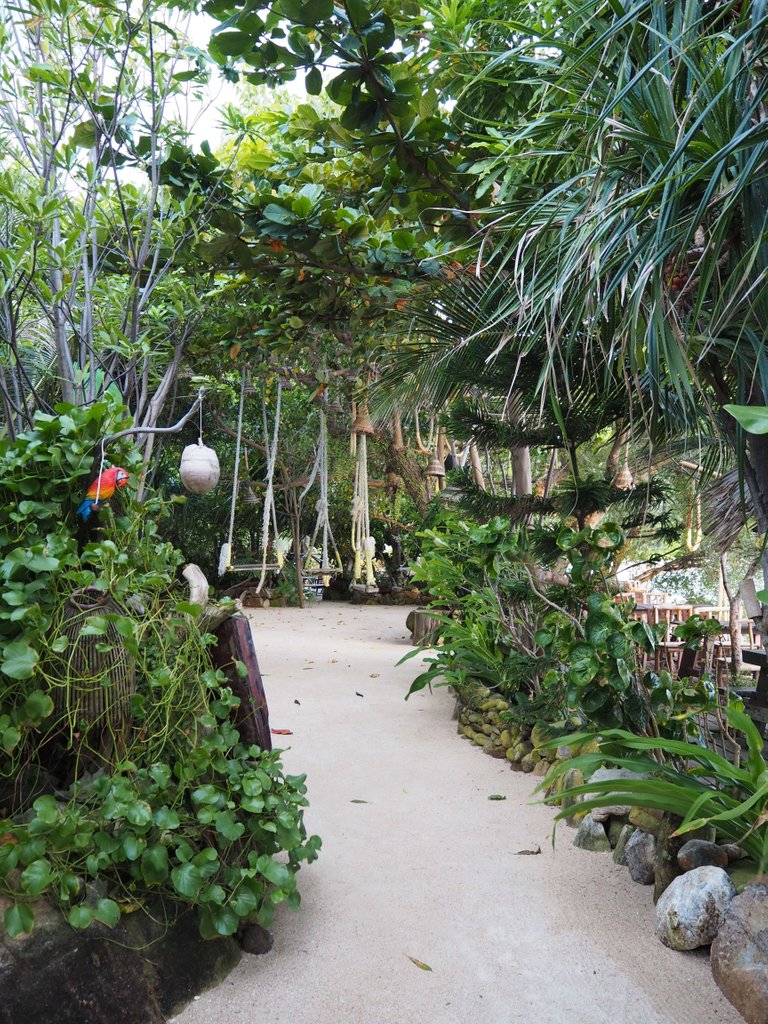 P6243683.JPG