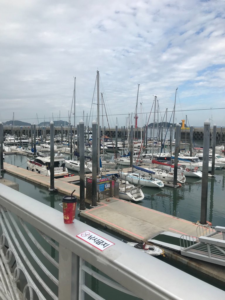 6B1FF6B1-DE8C-4007-8C1D-1523897B4678.jpeg