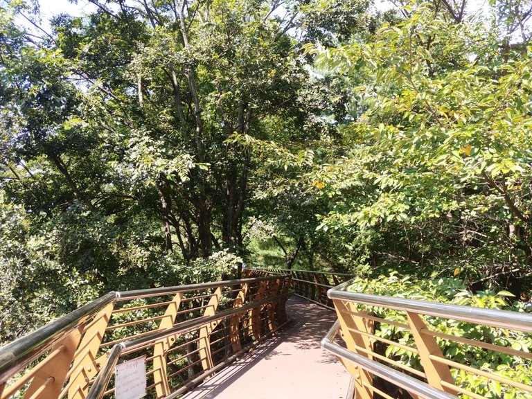 20180922_125829.jpg