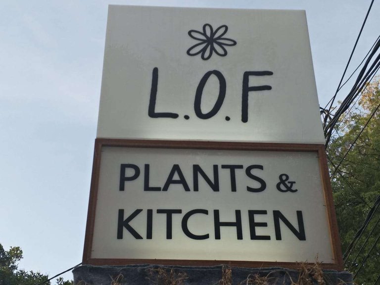 LOF Plants and Kitchen Sign.jpg