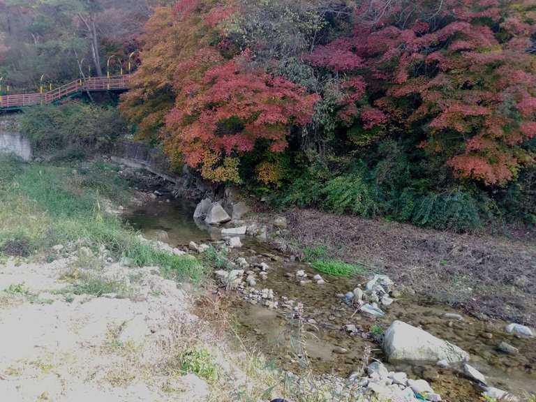 IMG_20181015_151049.jpg