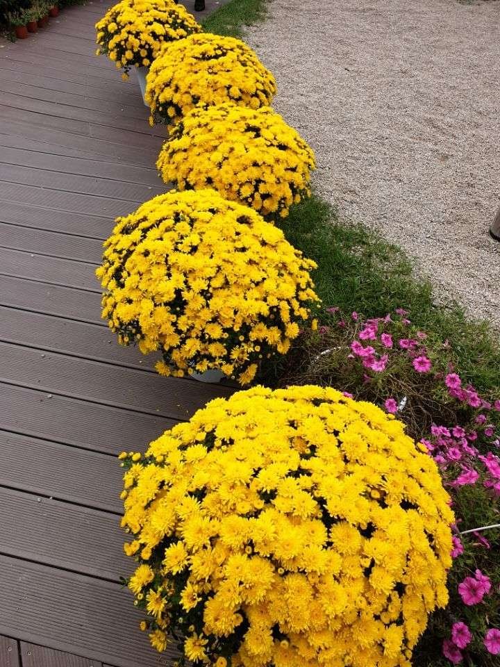 KakaoTalk_Moim_4ElzBzISgRh2XylT6bvkv7JiK50uo9.jpg