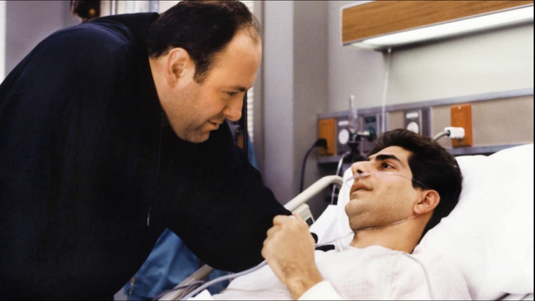 (source:sopranos.fandom.com)